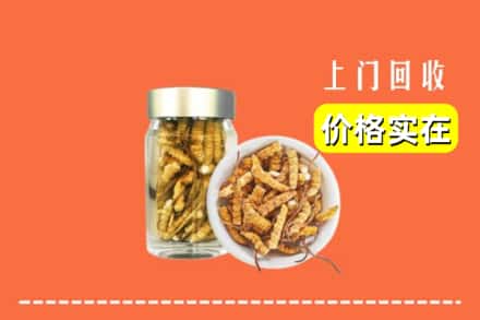 安顺市镇宁回收散虫草