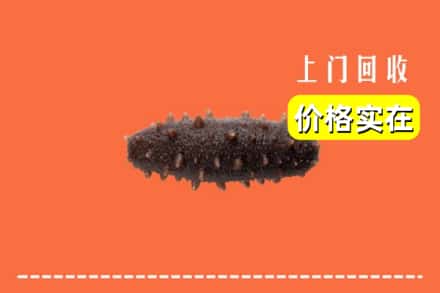 安顺市镇宁回收海参
