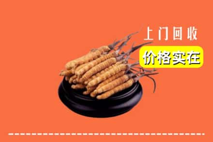 安顺市镇宁回收冬虫夏草
